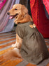 Dogs' Black Woven Silk Blend Dress